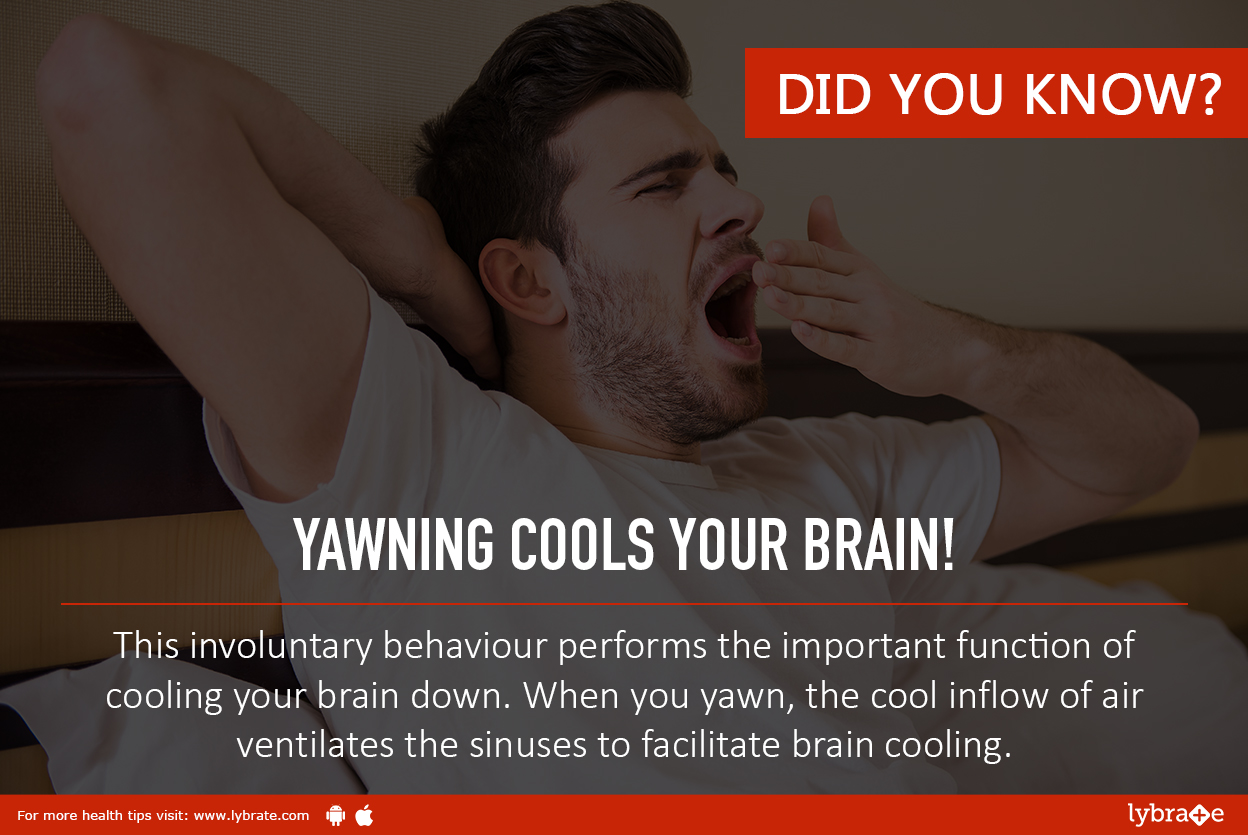 yawning anthropology and healthy functional person Yawning audibly while listening to a lengthy speech is a form of a glottis from anthropolo 100 at university of british columbia, okanagan. yawning anthropology and healthy functional person Yawning audibly while listening to a lengthy speech is a form of a glottis from anthropolo 100 at university of british columbia, okanagan.