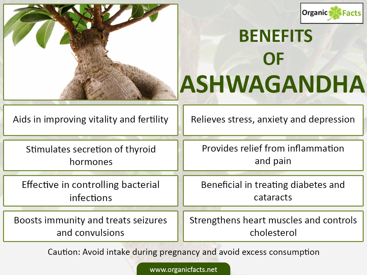 Best Viagra Medicine In India