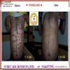 Surecare Homeopathy Image 10