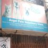 Angel Pets Mobile Clinic Image 2