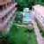 Aayushmaan Nature Cure Health Centre Image 1