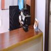 Sriranga Pulmonary Clinic Image 2