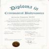 Nourish & Nurture Biodynamic Craniosacral Therapy Clinic Image 1