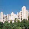 APOLLO HOSPITAL Image 2