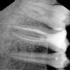 S.K Dental Care Image 5