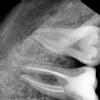 S.K Dental Care Image 7