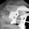 S.K Dental Care Image 6