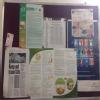 Diet Clinic Image 1