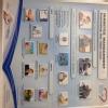 Diet Clinic Image 4