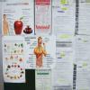 Rj German Homoeopathic Clinic Image 4