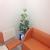 Centre For Spine and Rheumatology - Janakpuri Image 5