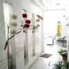 LIFE CARE CLINIC Image 1