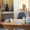 J P Nagar Diagnostics & Health Centre Image 2
