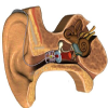 Pulse Clinic Image 4