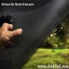 Dr. Shital Shah's Hypnotherapy and Homoeopathy Clinic Image 2