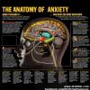 Dr. Shital Shah's Hypnotherapy and Homoeopathy Clinic Image 4