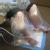 K. D. Polyclinic Image 1