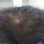 Dr Ashwini Indulkar's REVHIVE Clinic Image 2