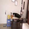 Omkar Rheumatology Clinic Image 1