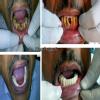 Dr Hiren Prajapati's New Gujarat Dental Clinic Image 7