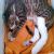 Dr Sunetra's PetVet Veterinary Clinic, Borivali Image 3
