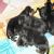 Dr Sunetra's PetVet Veterinary Clinic, Borivali Image 4