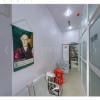 Homeoambrosia Image 7