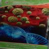 Dr.Kopparad's Homeopathy Image 1
