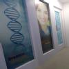 JEEVA HOMEOPATHY Image 6