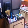 Kids Care Clinic Image 2
