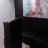 Smiling Pearls Dental Care Image 2