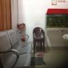Kothari Dental Hospital Image 2