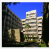 St.John's Medical College Image 1