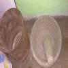 Shree Krishna Clinic Image 5