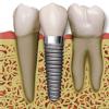 The Dentists Image 1