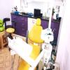 Shri Krishna Dental Care Image 3