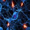 Advanced Brain & Spine Treatment Image 2