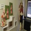 Dr. Anil Gaikwad Sexology Clinic Image 1