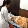 Pain Free Physiotherapy Clinic Image 6