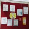 Chhabra Psychiatry Centre Image 6