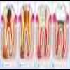 TOOTH HEALTH DENTAL CENTRE Image 4