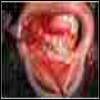 TOOTH HEALTH DENTAL CENTRE Image 2