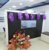 Blossom Clinic Image 1