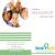 Dental World Image 1