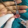 Ladiva Center Of Excellence For Cosmetic&Plastic Surgery Image 4
