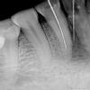 dr hemant asrani Image 5