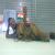 Prabhakar Bhurke Clinic Image 3