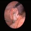 DR.DEO'S CLINIC Image 2