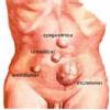 DR.DEO'S CLINIC Image 3
