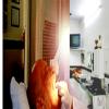 SMILE- Oral & Dental Care Centre Image 2